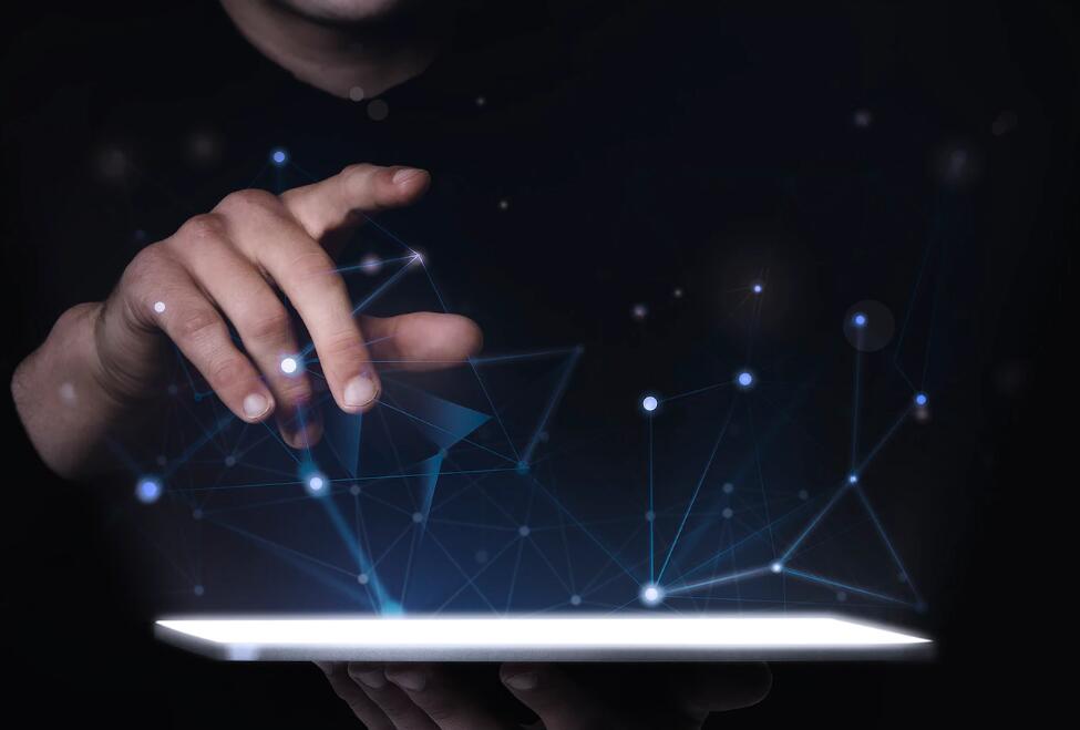 20年银杏树多少一棵 银杏树25公分价格